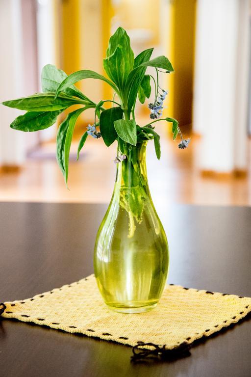 Ramybes Uostas Guest House Svedriske Екстериор снимка